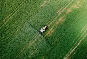 irrigation-cultures