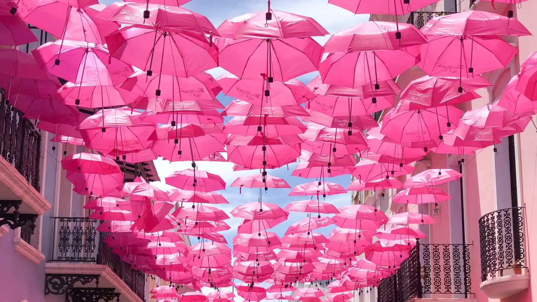 Safe-T-Clean s’associe à la campagne mondiale Octobre Rose