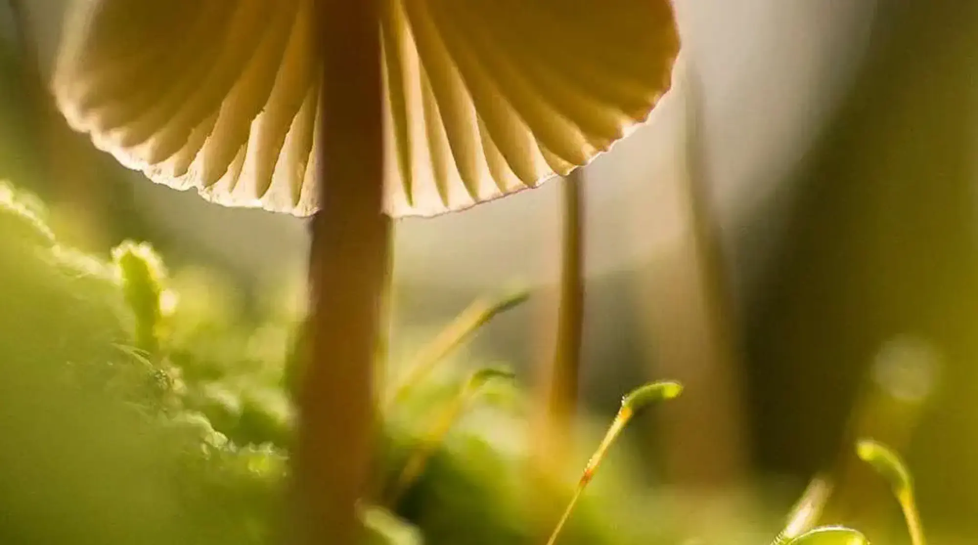 Comprendre la réglementation ISO 14001